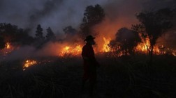 10 Titik Kebakaran Hutan Awal Tahun di Aceh