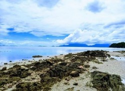 7 Rekomendasi Objek Wisata di Lingga saat Tradisi Mandi Safar