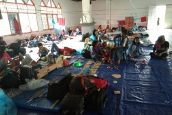 800 perantau Minang di Wamena Papua menunggu dipulangkan