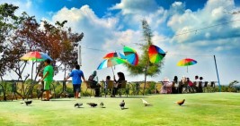 Aceh Miliki Taman Wisata yang Dipenuhi Burung Dara