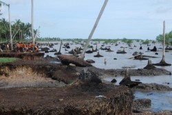 Ada 3 Cara Mengatasi Abrasi Pulau Rupat, Bengkalis dan Rangsang dari Ancaman Abrasi