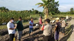 Aliansi Petani Gambut Riau: Badan Restorasi Gambut Hadir Bantu Petani di Riau