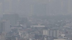 Asap Karhutla Kalimantan Tembus Filipina, Pakar Ungkap Peran Angin dan El Nino