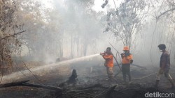 Asap Karhutla Masih Pekat, Jarak Pandang di Pekanbaru 500 Meter