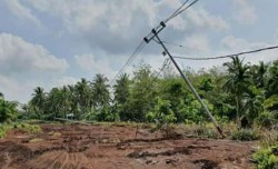 Banyak Tiang Listrik PLN di Kuala Kampar, Pelalawan Tumbang Sebelum Digunakan