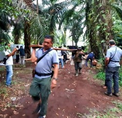 BBKSDA dan Polda Riau Hancurkan 3 Sawmill Illegal di SM Giam Siak Kecil