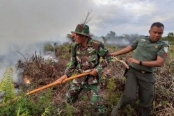 Belasan Hektare Lahan Gambut di Nagan Raya Terbakar