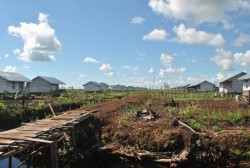 Bener Meriah Masuk Program Pengembangan Transmigrasi