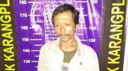 Biayai Pesta Miras, Pria Ini Curi Sapi Mertua Sendiri