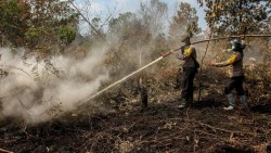 Riau Diduga Kirim Asap ke Jambi