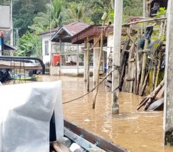 BPBD dan Dinsos Kampar Siaga, Sungai Subayang Meluap: 7 Desa di Kampar Kiri Hulu Terendam