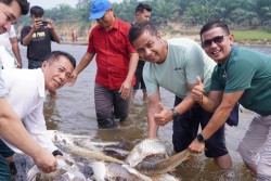 Bukan Sekadar Tangkap Ikan, Mancokau Tanjung Belit Jadi Benteng Alam