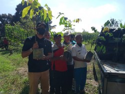 Camat Tambang Bersihkan Kantor Desa Gobah Dan Tanam Pohon di Pemakaman Umum