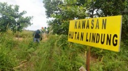 Camat Teluk Sebong Sebut Banyak Warga tak Tenang Akibat Status Hutan Lindung