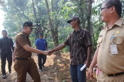 Camat Tenayan Raya Tinjau Progres Prorgam Padat Karya