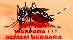 Dari 613 Kasus DBD di DKI, Jaksel Paling Tinggi
