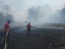 Luas Ladang Minyak Chevron yang Terbakar Capai 5 Hektare