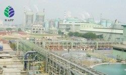 Dewan: Pemkab Pelalawan Harus Tegas ke RAPP Terkait Pajak Lampu Jalan