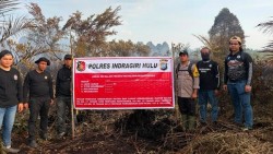 Diduga Buang Puntung Rokok, Pria di Inhu Diamankan usai 5 Hektare Lahan HPK Terbakar