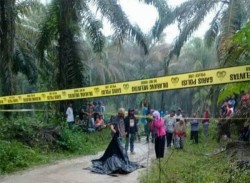 Diduga Dibunuh, Warga Dumai Temukan Mayat Lelaki di Jalan Perkebunan
