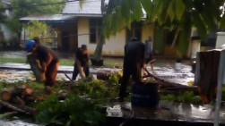 Dinas PUPR Pekanbaru Cepat Tanggap, Bereskan Pohon Tumbang Karena Hujan dan Angin Kencang