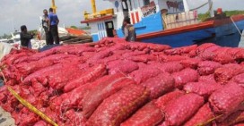 Dirpolairud Amankan 1.300 Karung Bawang Merah di Perairan Karimun