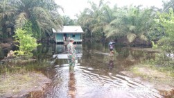 Dua Minggu Direndam Banjir, Masyarakat Bonai Darussalam Butuh Bantuan