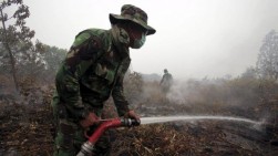 Dua Pekan Prajurit Kostrad Berjibaku Padamkan Kebakaran Hutan Riau