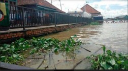 Eceng Gondok dan Sampah Rusak Keindahan Kampung Al Munawar