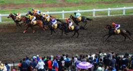 Event Pacu Kuda Payakumbuh akan Perlombakan 14 kelas