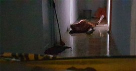 Geger, Seorang Wanita Tewas Terbakar di Kamar Kosnya di Kawasan Jodoh Batam