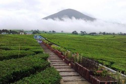 Gunung Dempo Diselimuti Cuaca Ekstrem