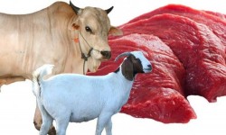 Halal Center UGM:  Jangan Sampai Daging Kurban Jadi Haram