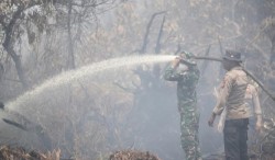 Hari Ini, Hotspot di Sumatera Capai 1.104, Pelalawan Sumbang 71 Titik di Riau
