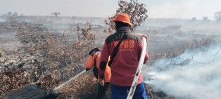 Hotspot Riau Menurun, Kampar dan Pelalawan Masih Jadi Wilayah Terbanyak