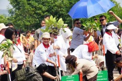 Ibu Negara Terjun Bersama Masyarakat Tanam Mangrove di Pancur Pelabuhan Kota Batam.