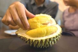 Ini Akibat Ibu Hamil Konsumsi Durian Terlalu Banyak
