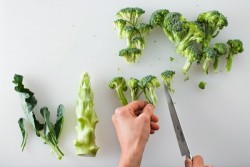 Ini Empat Jenis Sayuran yang Ampuh Melawan Kanker