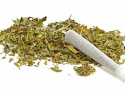 Isap Ganja untuk Nafsu Makan, Pria di Lampung Ini Diringkus Polisi