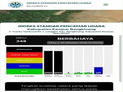 ISPU Kampar Tembus 348, Kualitas Udara Bangkinang Masuk Kategori Berbahaya