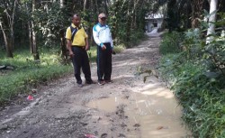 Jalan Menuju SDN  030 Pulau Permai Sangat Memprihatinkan