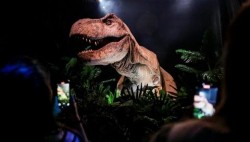 Jejak Kaki T-Rex Ditemukan, Fosil Kuno Ini Segera Dipindahkan ke Museum AS