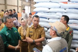 Jelang Ramadhan, PJ Wako Muflihun Tinjau Ketersediaan Stok Beras Bulog