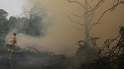 Jepang Turunkan 3 Helikopter CH-47 dan 600 Personel Bantu Atasi Karhutla di Kalimantan