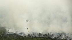 Kabut Asap Sudah Mulai Selimuti Pekanbaru