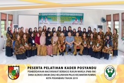 Kader Posyandu Kelurahan Palas Latihan Damkar, Berkomitmen Tingkatkan Layanan Posyandu