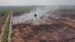 Karhutla di HGU Bengkalis, Polda Riau Tetapkan Dua Tersangka dan Dalami Asal Api