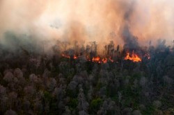 Karhutla di Riau Terus Meluas Capai 107 Titik Panas