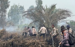 Karhutla Kembali Membara di Dayun Siak, 50 Personel Dikerahkan