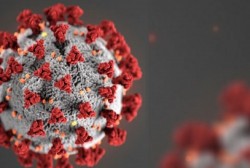 Kasus Positif Covid-19 Bertambah 6.825 per Tanggal 17 Maret 2021